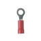 Panduit Ring Terminal, M3 Stud Size, 18 AWG, 600 V, Vinyl Insulated, Red, 100 PK PMV1-3RB-CY - alternate 1